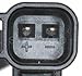 STANDARD IGN Sensor-Speed