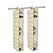 TSY TOOL 2 Pack 10 Shelves compartments Fabric Hanging Closet Shoe Storage Organizer, for Shoes, Handbags, Clutches, Accessories & Clothing, Hangs Over The Closet Rod, 6 x 12 x 47 inch