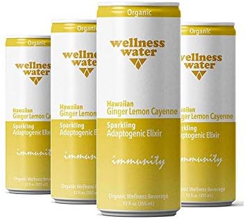Wellness Water Organic Adaptogenic Immunity Drink - Hawaii Ginger Lemon Cayenne - Spicy - 12 Ounce (500mg Adaptogens - Pack of 6)
