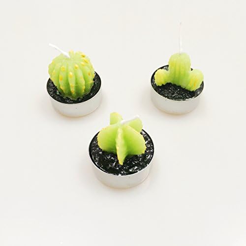 HaBee - Mini Cactus Tea Light Candles for Home Décor (6pcs Gift Box Wrap)
