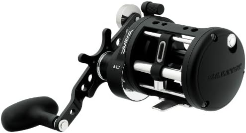 daiwa saltist bg 20