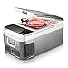Ausranvik 19 Quart Car Fridge Car Freezer Portable Refrigerator, -4 F Degree True Freezing, 12V/24V DC and 110V AC