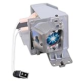 EWO'S BL-FU195C / BL-FU195A Lamp Bulb for Optoma