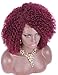 Kalyss Burgundy red Short Afro Kinky Curly Wigs for Women Side Curved Part Natural Looking Big,Bouncy and Super Soft Premium Synthetic Afro Curls Wigs for Women