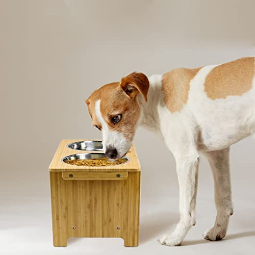 VaygWay Elevated Dog Bowls Diner Adjustable Raised Pet Bowl for Cat