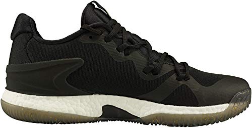 chaussure crazylight boost 2018