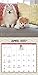 Boo Mini Wall Calendar (2017)