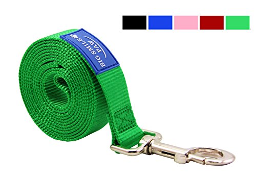 BIG SMILE PAW Dog Leash Nylon Durable Loop Handle,5 Foot Long 1 Inch Wide (Green)