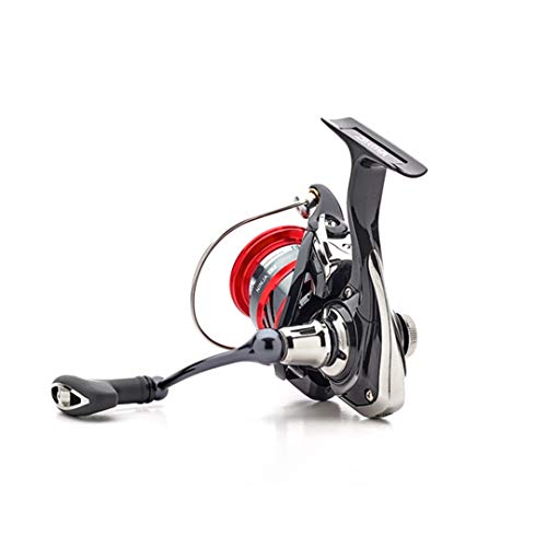 Daiwa – Moulinet Ninja 18 Lt 5000 C