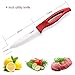 Ceramic Knife Set of 4, Cerahome Steak Knife Rust Proof and Stain Resistant Chef Knife Set Super Sharp Kicthen Knife with Sheath Upgrade Handle