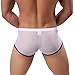 FEESHOW Men's Soft Sheer Mesh Boxer Briefs Shorts Underwear Lingerie Panties (White, XL)