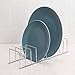 iPEGTOP Roll Up Dish Drying Rack with 304 Stainless Steel Plates Holder Pot Lid Organizer, Over The Sink Kitchen Foldable Multipurpose Dish Drainer Rack for Fruits Vegetable,16.9