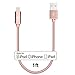 LAX iPhone Charger Lightning Cable - MFi Certified Durable Braided Apple Lightning USB Cord for iPhone 11/11 Pro Max/XS Max/X/iPad, iPod & More