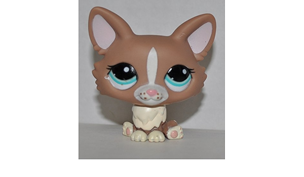 lps corgi amazon