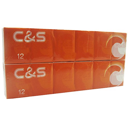 Eslite 4-ply Facial Tissue Pocket Packs (Pack of 24)