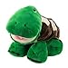 Stuffies Shuffles the Turtle
