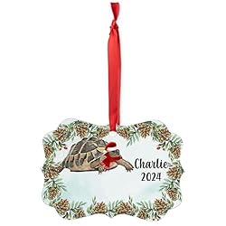 Hermann's Tortoise Christmas Ornament 2024