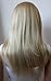 PRETTYSHOP Lady Wig Long Hair Full Cosplay Party show Straigh Heat-Resistant FZ505 Color Variation (bleach blonde 25T613 FZ505)