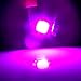 cciyu 20Pcs Pink/Purple B8.4D 1SMD 5050 LED Instrument Cluster Dash Indicator Light Bulb
