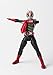 Tamashii Nations Shinkocchou Seihou Masked Rider Neo 2 