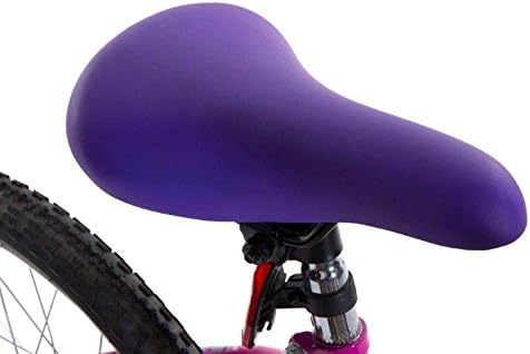 dynacraft girls bike