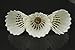 TKU - Badminton Feather Shuttlecock for Training - 1 Dozen (No 7)