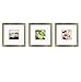 Tiny Mighty Frames 3-Set, Metal, Square Instagram Photo Frame, 8x8 (4x4 Matted) (3, Gold)