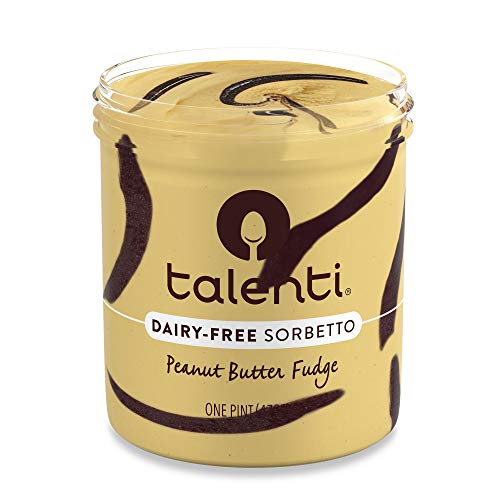 Talenti Sorbetto Peanut Butter Fudge 16 oz