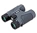Carson 3D Series 8x42mm Binocular with High Definition Optics (TD-842)