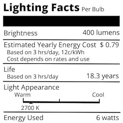 Basics Hardware LED Edison Light Bulbs - Dimmable