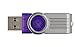 Kingston Digital 32GB DataTraveler 101 G2 USB 2.0 Drive - Purple (DT101G2/32GBZ)