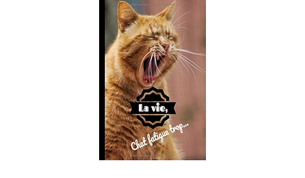 La Vie Chat Fatigue Trop Carnet De Notes Chat Roux Humour 6x9 Pouces A5 100 Pages Carnet De Notes Avec Lignes Notebook Journal Idee