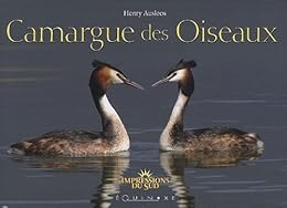 Camargue des oiseaux