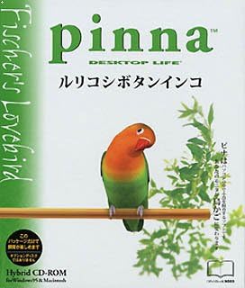 Amazon Com Pinna ルリコシボタンインコ Software