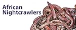 African Nightcrawler Colony Starter Kit & Night Crawler Guide