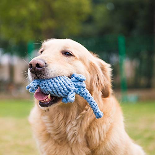 HIPIPET 10pcs Rope Dog Toys Large Dog Toy Balls Flying Discs Chew Tug Toss Toys Set for Medium Large Dogs