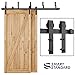 SMARTSTANDARD 6.6ft Heavy Duty Bypass Double Door Sliding Barn Door Hardware Kit - Smoothly &Quietly -Easy to install - Includes Step-By-Step Installation Instruction Fit 40