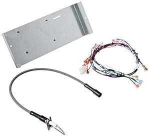 Amazon.com : Hayward IDXMOD1930 Ignition Module for H