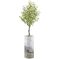 SIGNWIN Olive Tree with White Granite & Brown Marble Effect Vase Abstract Rocky Minimalism Zen Relax/Calm Multicolor Cool for Living Room, Bedroom, Office - X-Large 5 Feet (60