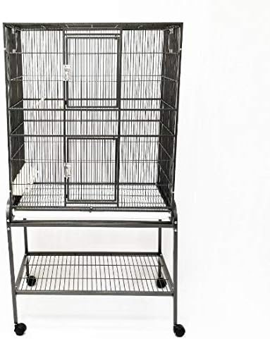 australian shepherd and cattle dog mix