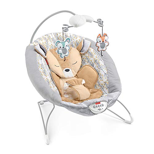 fisher price the happy forest bouncer
