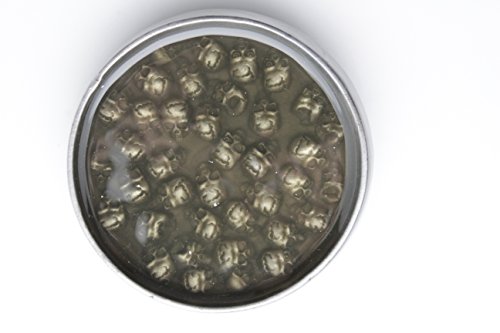 TFJ Men Gothic Belt Buckle Punk Fashion Silver Metal Mini Skulls Skeletons Taupe