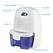 Dehumidifier, FociPow Compact Portable Electric Mini Dehumidifier for Living Room Bathroom Kitchen Garage
