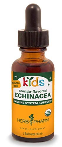 Herb Pharm Kids Certified-Organic Alcohol-Free Echinacea Glycerite Liquid Extract, 1 Ounce