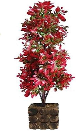 Hyperboles Artificial Bonsai Plant with Plastic Pot (Red, 1 Piece)