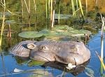Pond - Kfk floating hippo 16 in