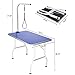 ITORI Pet Dog Grooming Table for Small Dog, Professional 32 in Foldable Portable Drying Table with Adjustable Height Arm&Noose, Maximum Capacity Up to 250lbs