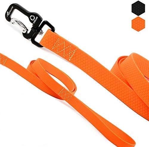 orange leash