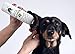 BotaniVet Ear Cleaner 8 Oz - 100% Natural Ingredients - Made with Certified Organic Oils and Silver - Veterinary Dermatologist Formulated for Dogs and Cats with Ear Problems