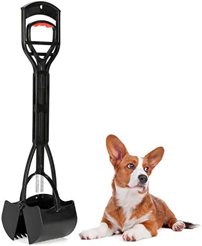 bravecto flea treatment for cats reviews